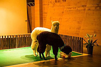 Epic本周喜加一 免费领取《尤卡莱莉与无妄巢穴》